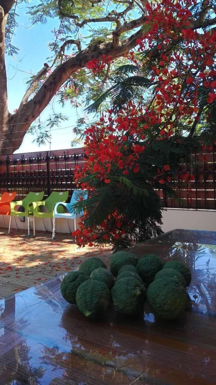Chinese Villa Resort มาปูโต ภายนอก รูปภาพ